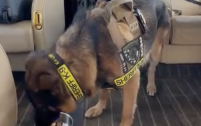 K9 Sgt. Lanzer’s Mid-Flight Meal